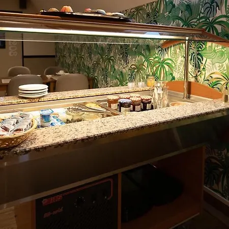 מלון Cit'hotel - Le Cedre 3*