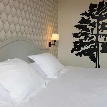 Cit'hotel - Le Cedre 3* 누아용