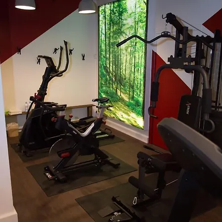 מלון Cit'hotel - Le Cedre 3*