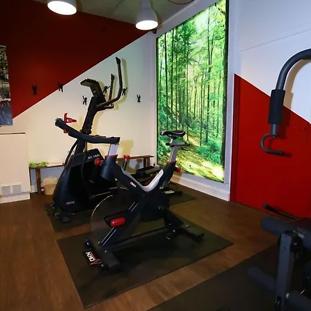 호텔 Cit'hotel - Le Cedre