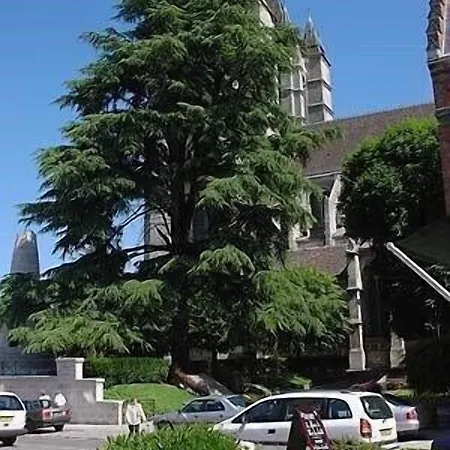 מלון Cit'hotel - Le Cedre 3*