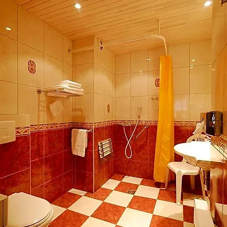 Cit'hotel - Le Cedre