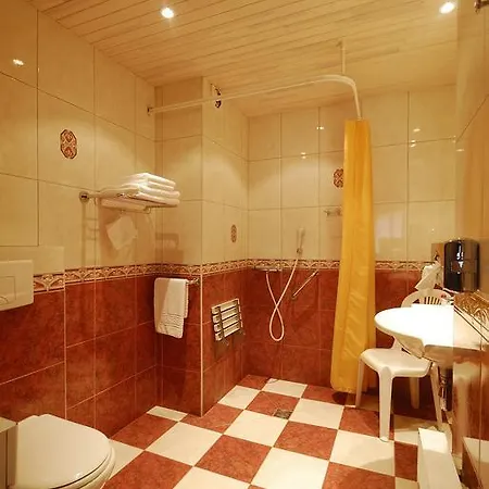 Cit'hotel - Le Cedre