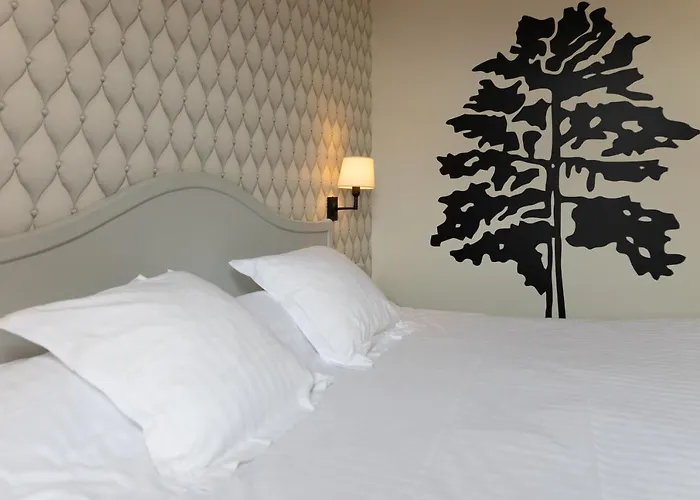 Cit'hotel - Le Cèdre 3* Noyon